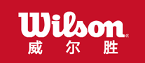 羽毛球拍品牌排行